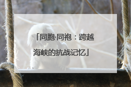 同胞·同袍：跨越海峡的抗战记忆