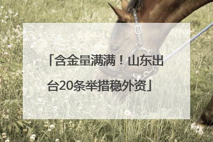 含金量满满！山东出台20条举措稳外资