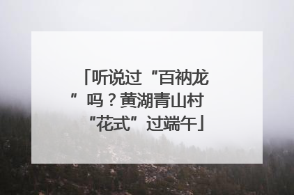 听说过“百衲龙”吗？黄湖青山村“花式”过端午