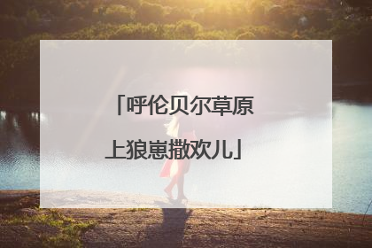 呼伦贝尔草原上狼崽撒欢儿