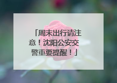 周末出行请注意！沈阳公安交警重要提醒！