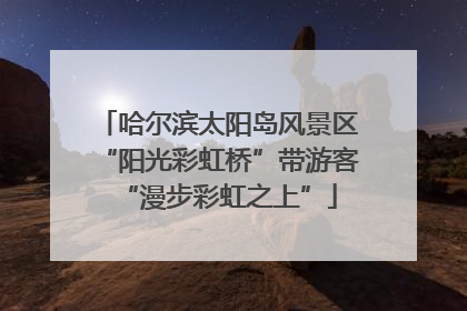 哈尔滨太阳岛风景区“阳光彩虹桥”带游客“漫步彩虹之上”