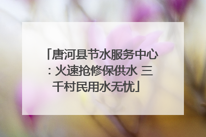 唐河县节水服务中心：火速抢修保供水 三千村民用水无忧
