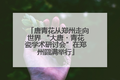 唐青花从郑州走向世界 “大唐・青花瓷学术研讨会”在郑州圆满举行