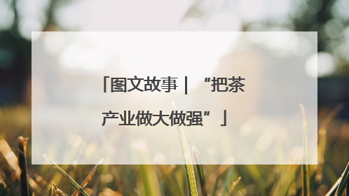图文故事｜“把茶产业做大做强”