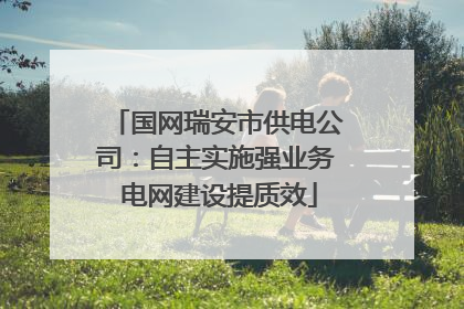 国网瑞安市供电公司：自主实施强业务 电网建设提质效