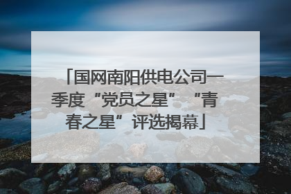 国网南阳供电公司一季度“党员之星”“青春之星”评选揭幕