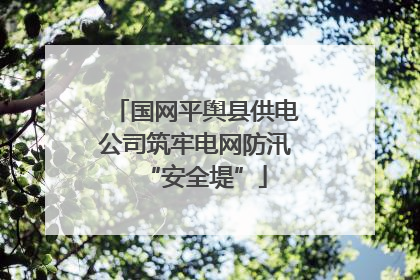 国网平舆县供电公司筑牢电网防汛“安全堤”