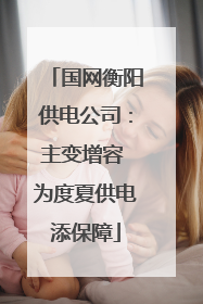 国网衡阳供电公司：主变增容 为度夏供电添保障