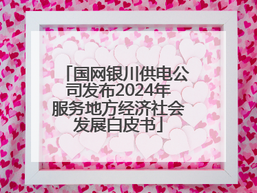 国网银川供电公司发布2024年服务地方经济社会发展白皮书