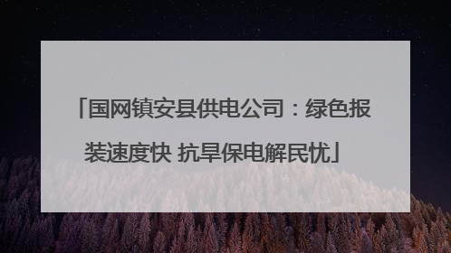 国网镇安县供电公司：绿色报装速度快 抗旱保电解民忧