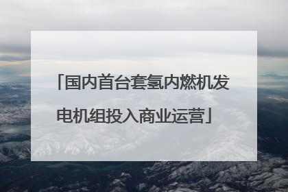 国内首台套氢内燃机发电机组投入商业运营