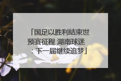 国足以胜利结束世预赛征程 湖南球迷：下一届继续追梦