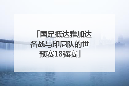 国足抵达雅加达备战与印尼队的世预赛18强赛