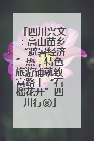四川兴文：高山苗乡“避暑经济”热，特色旅游铺就致富路丨“石榴花开”四川行⑧
