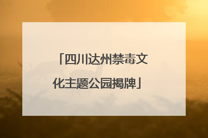 四川达州禁毒文化主题公园揭牌