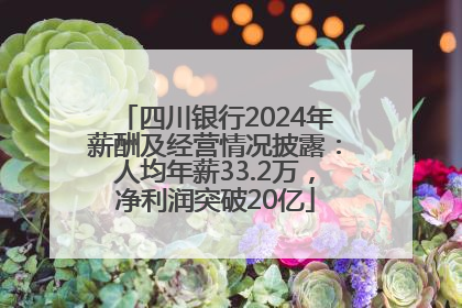 四川银行2024年薪酬及经营情况披露：人均年薪33.2万，净利润突破20亿