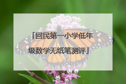 回民第一小学低年级数学无纸笔测评