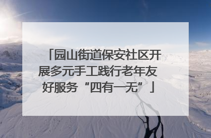 园山街道保安社区开展多元手工践行老年友好服务“四有一无”