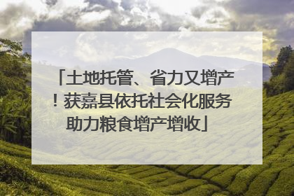 土地托管、省力又增产！获嘉县依托社会化服务助力粮食增产增收