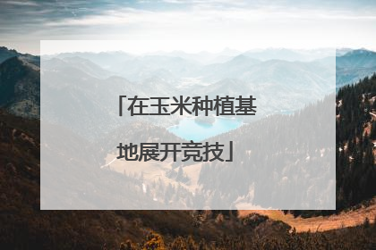 在玉米种植基地展开竞技