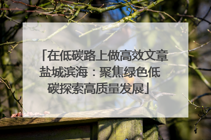 在低碳路上做高效文章 盐城滨海：聚焦绿色低碳探索高质量发展