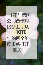 在与跨国公司合作对接会上，从“KITE”的四个维度重新打开潍坊