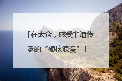 在太仓，感受非遗传承的“硬核浪漫”