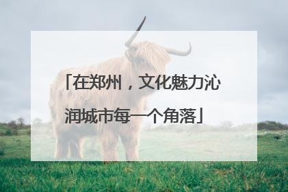 在郑州，文化魅力沁润城市每一个角落