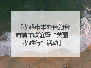 孝感市举办台胞台属端午联谊暨“美丽孝感行”活动