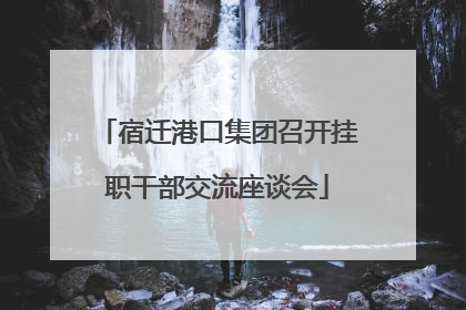 宿迁港口集团召开挂职干部交流座谈会