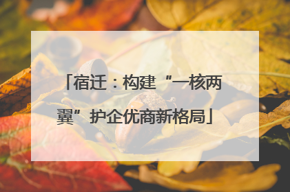 宿迁：构建“一核两翼”护企优商新格局