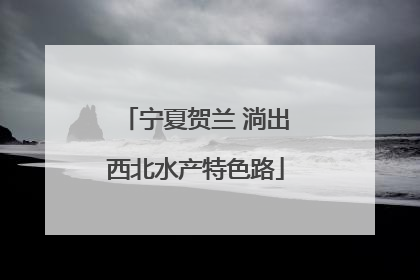 宁夏贺兰 淌出西北水产特色路