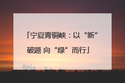 宁夏青铜峡：以“新”破题 向“绿”而行