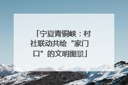 宁夏青铜峡：村社联动共绘“家门口”的文明图景