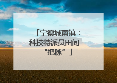 宁德城南镇：科技特派员田间“把脉”