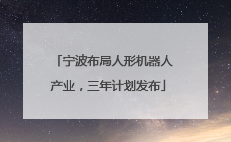 宁波布局人形机器人产业，三年计划发布