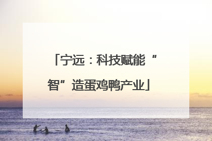 宁远：科技赋能“智”造蛋鸡鸭产业