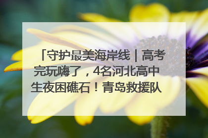 守护最美海岸线｜高考完玩嗨了，4名河北高中生夜困礁石！青岛救援队火速出动救上岸
