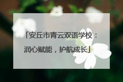 安丘市青云双语学校：润心赋能，护航成长