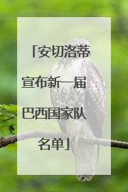 安切洛蒂宣布新一届巴西国家队名单