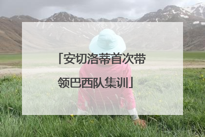 安切洛蒂首次带领巴西队集训