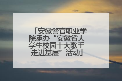安徽警官职业学院承办“安徽省大学生校园十大歌手走进基层”活动