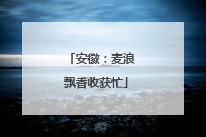 安徽：麦浪飘香收获忙