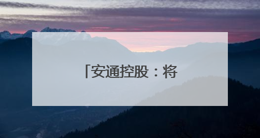 安通控股：将继续专注主业 增强业务优势