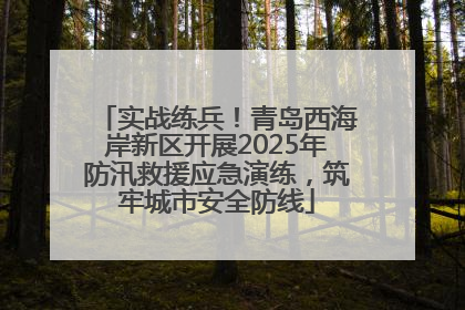 实战练兵！青岛西海岸新区开展2025年防汛救援应急演练，筑牢城市安全防线