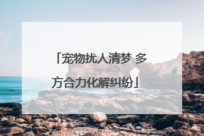 宠物扰人清梦 多方合力化解纠纷