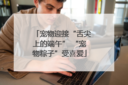 宠物迎接“舌尖上的端午” “宠物粽子”受喜爱