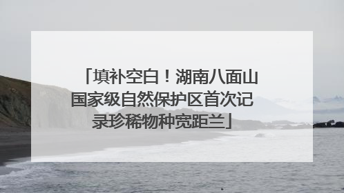 填补空白！湖南八面山国家级自然保护区首次记录珍稀物种宽距兰