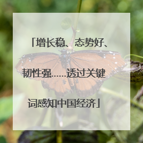 增长稳、态势好、韧性强……透过关键词感知中国经济